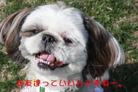 IMG_4991.jpg