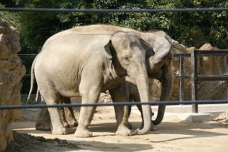 _MG_1790.jpg