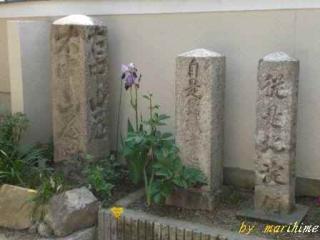 武佐宿蓮照寺脇道標