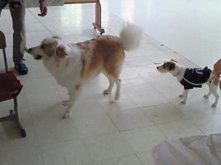 200907011403001.jpg