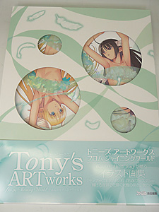 tonys_art_works_shining.jpg