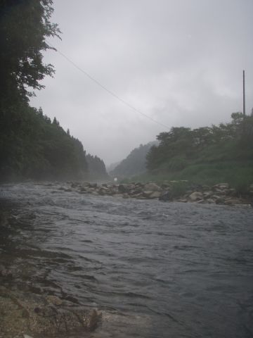 宇佐川の風景