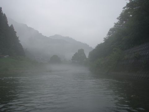 宇佐川の風景