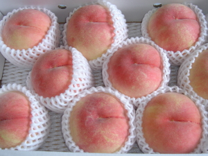 peach021.jpg