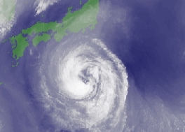 taifu09.jpg