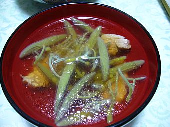 P1010099-1.jpg
