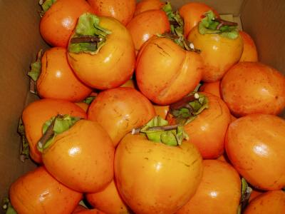蜂谷柿