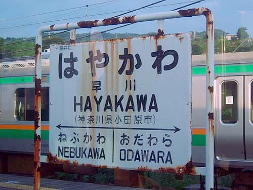 hayakawa-1.jpg