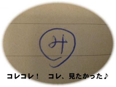 20090316006.jpg