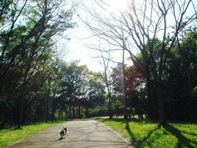 2009041309.jpg