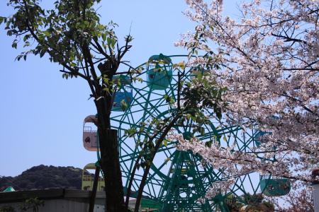 <b>京都市動物園</b>～哲学の道～蹴上インクライン