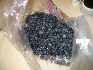 Blueberry 4