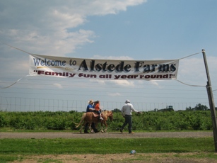 Alstede Farm 1