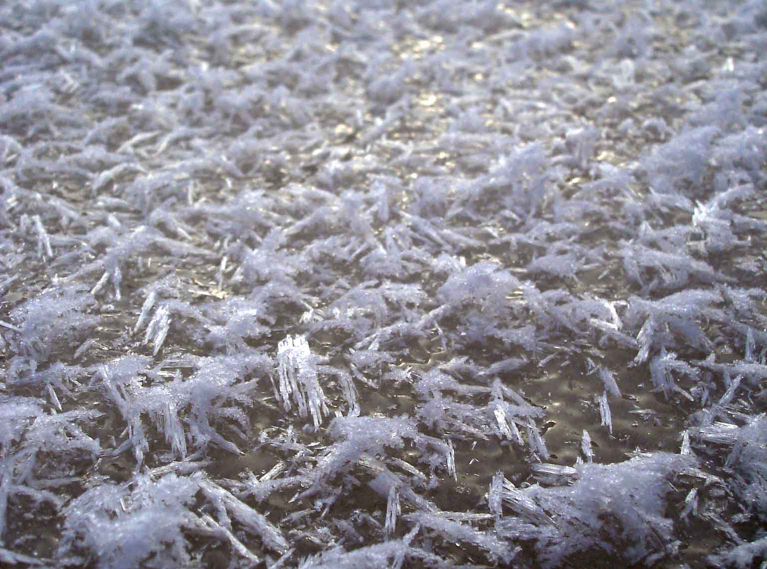 2008.1.13　★アイスバーンの上にできた霜（表面霜）