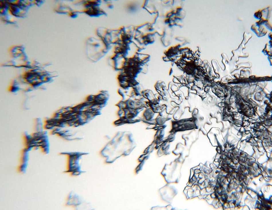 顕微鏡で見た結晶　⑩の一部（大きな雪印と小さな鼓型）