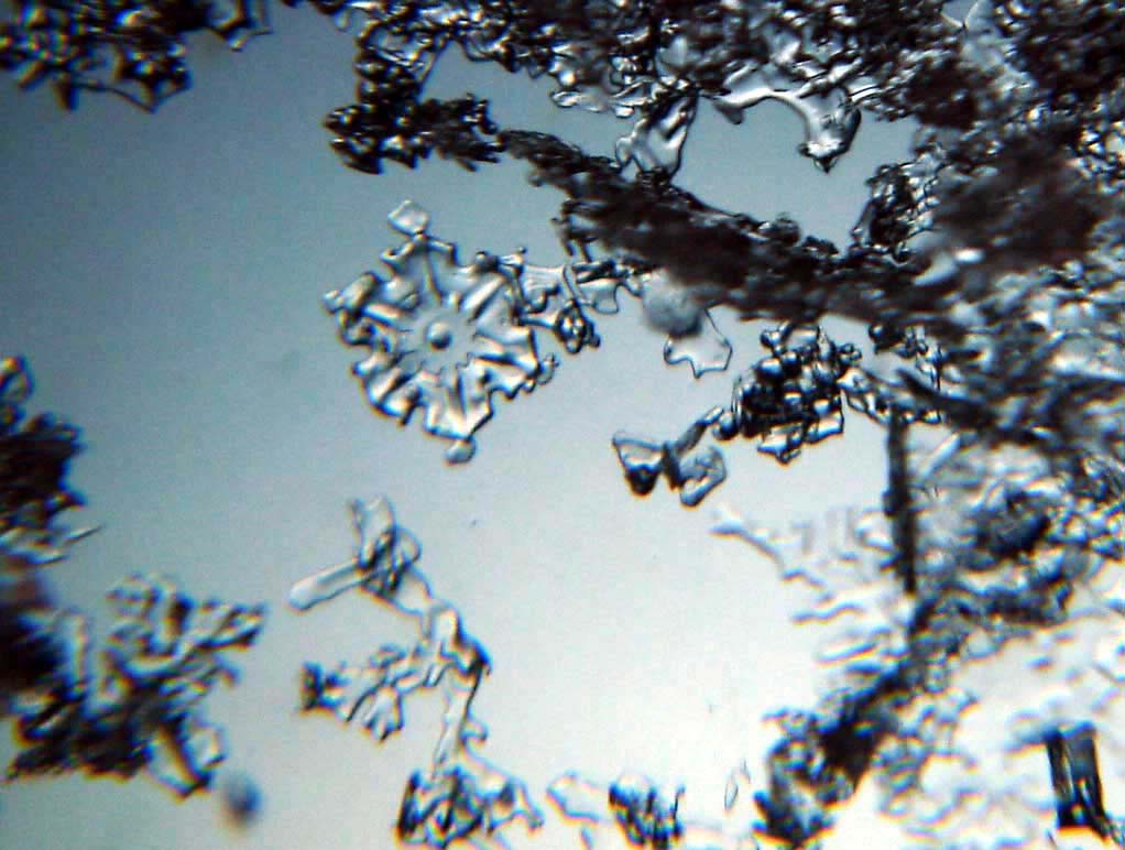 顕微鏡で見た結晶　⑫の一部より
