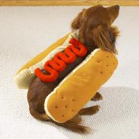 hotdogpic.jpg