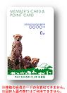 cheetah_card.jpg
