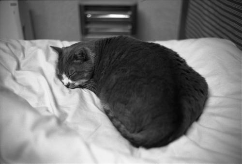 20080320-20080305024.jpg