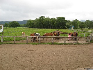 乗馬体験牧場