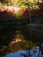 岩屋堂－川面に写る紅葉