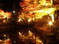 岩屋堂－紅葉の夜景