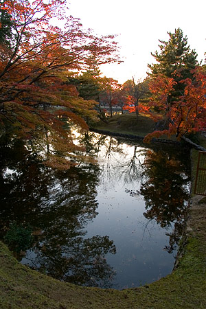奈良紅葉風景-11