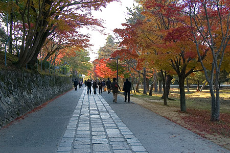 奈良紅葉風景-7