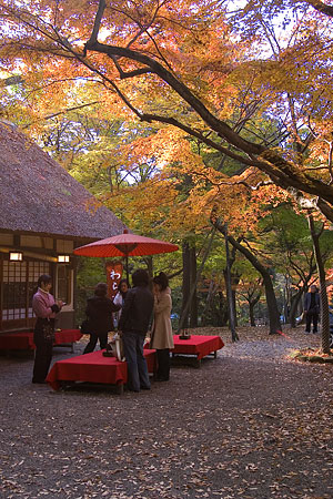奈良紅葉風景-9