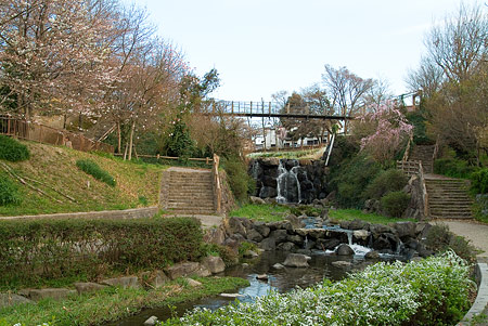 2008年桜1-2