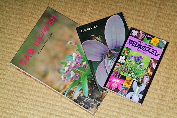 日本のスミレ | をかしの庭 日本のスミレ | をかしの庭